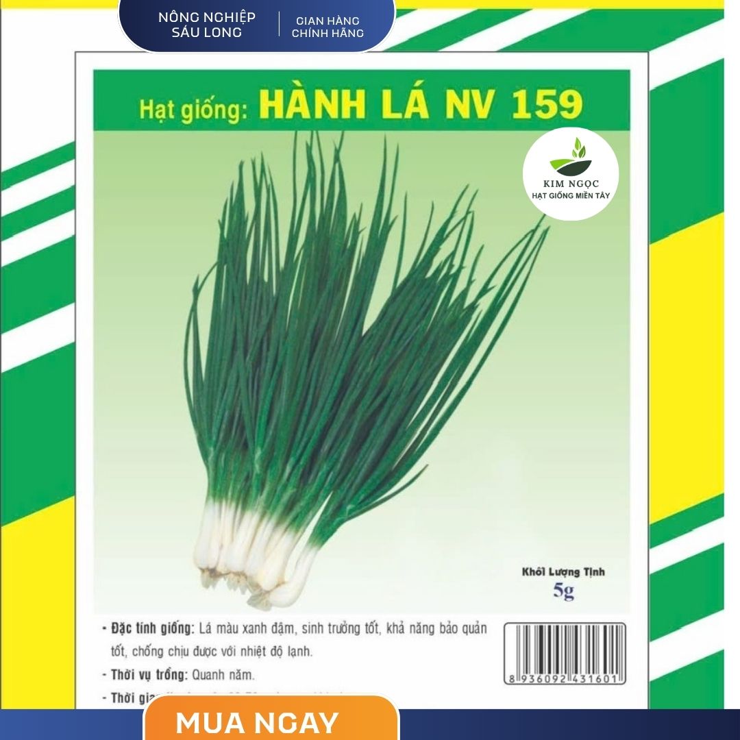 Hạt Giống Hành Lá NV 159 NAM VIỆT (Gói 5gr) - Nảy mầm cao, cây kháng bệnh tốt.