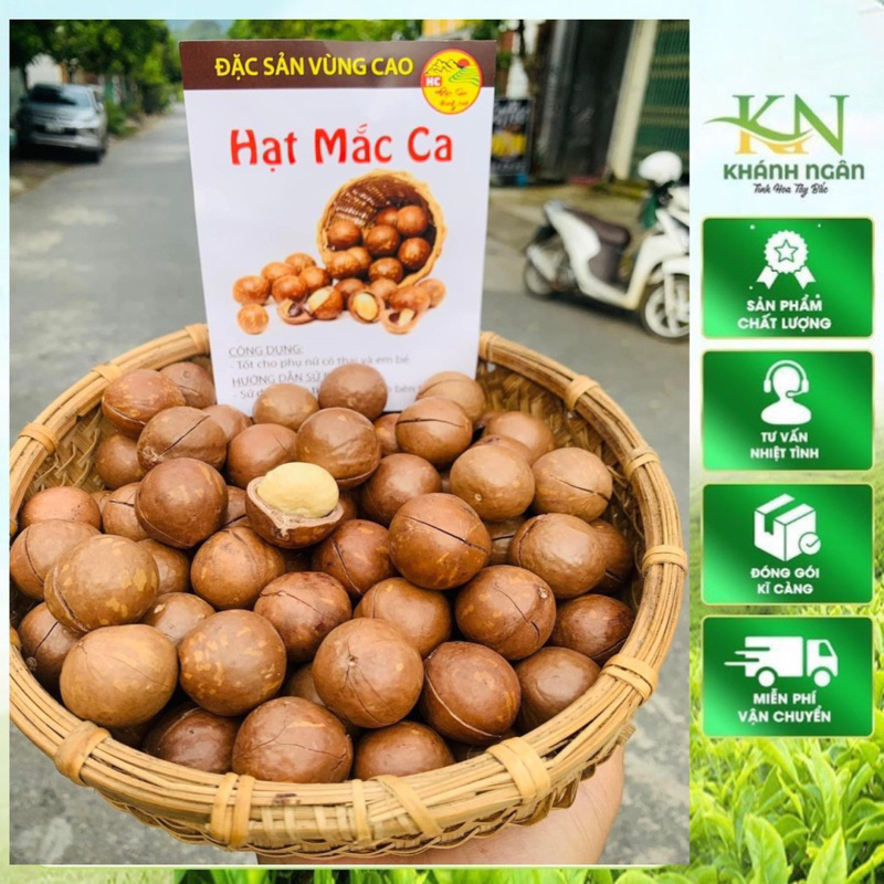 Lai Chau Macadamia Nuts, Macadamia Nuts, Dried Macadamia Nuts with Cracked Shells (500g, 1kg) Premium Quality for Making Nut Milk, for Babies to Eat, Crunchy and Fragrant