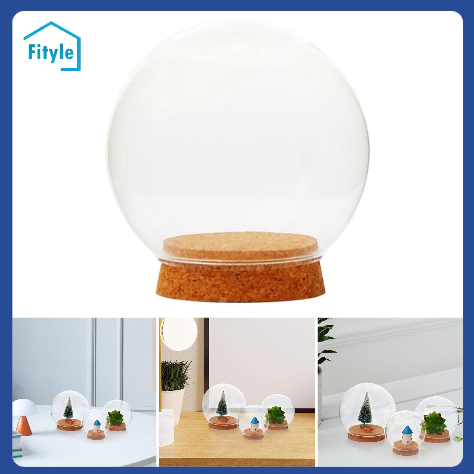 Fityle Glass Dome with Base Round Home Decoration Glass Dome Glass Display Showcase ราคา 661 บาท*ส่งฟรี