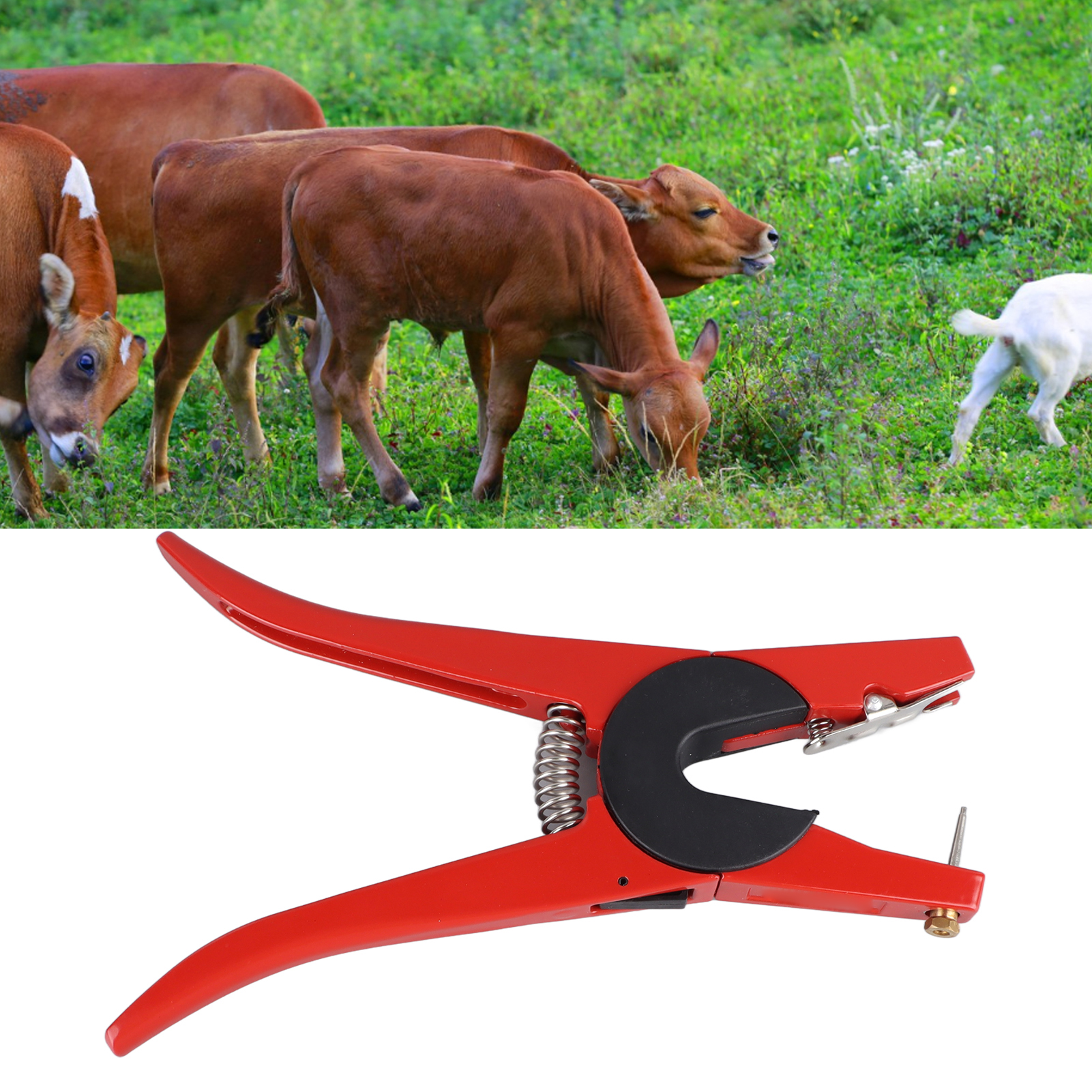 Phổ thẻ tên đeo tai Applicator không thiệt hại an toàn thép hợp kim thẻ tên đeo tai kìm thép hợp kim cho bò lợn