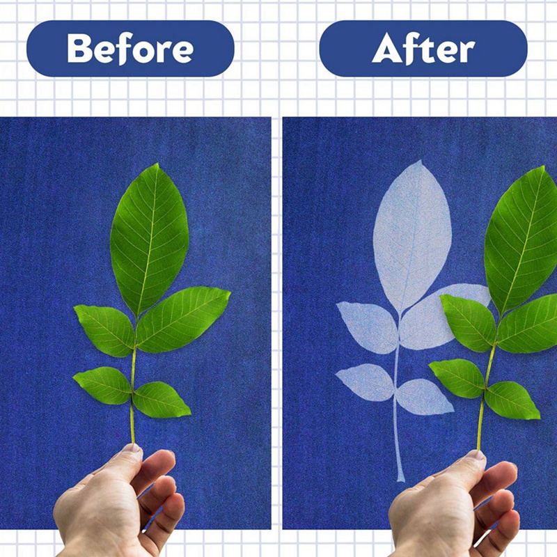 (BGIC) 30 Sheets Cyanotype Paper With 2 Sheet Acrylic Panel Activated Printing Art Paper Cyanotype Paper