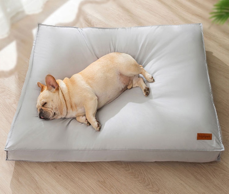 Giường chó không thấm nước Mat có thể tháo rời vật nuôi Thảm ngủ cho chó trung bình nhỏ mèo mềm ổ cho chó nhà sản phẩm thú cưng Phụ kiện