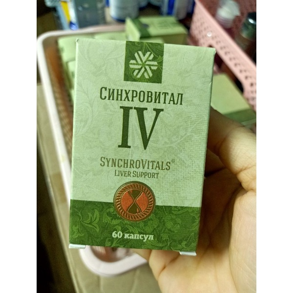 Syn 4 Siberian - Synchrovitals IV , giúp thải độc gan và tăng cường chức năng gan