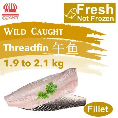 Fresh Wild Caught Threadfin Fillet 1.9 to 2.1kg