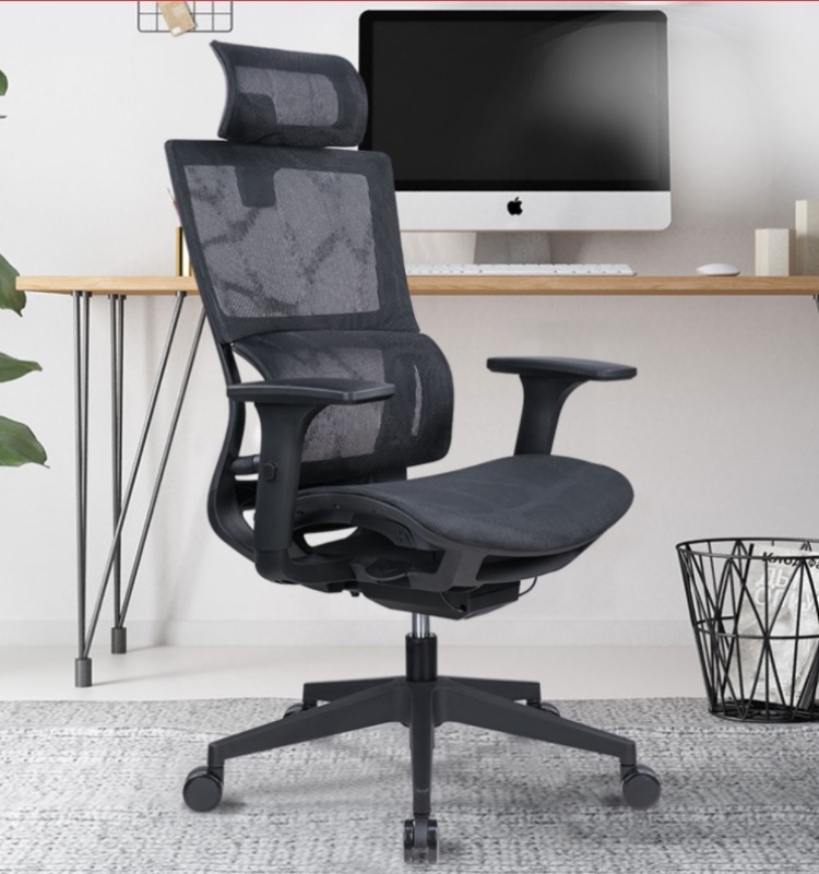 Premium Ergonomic Computer Chair with Intelligent Lumbar Support - OC233AQW - Ship in 2 days - Warranty for 5 Years Singapore