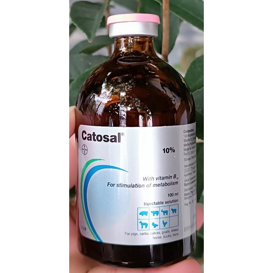 CATOSAL – THUỐC BỔ CHO GIA SÚC VÀ GIA CẦM. Kích thích biến dưỡng, phòng bệnh và phòng rối loạn trao 