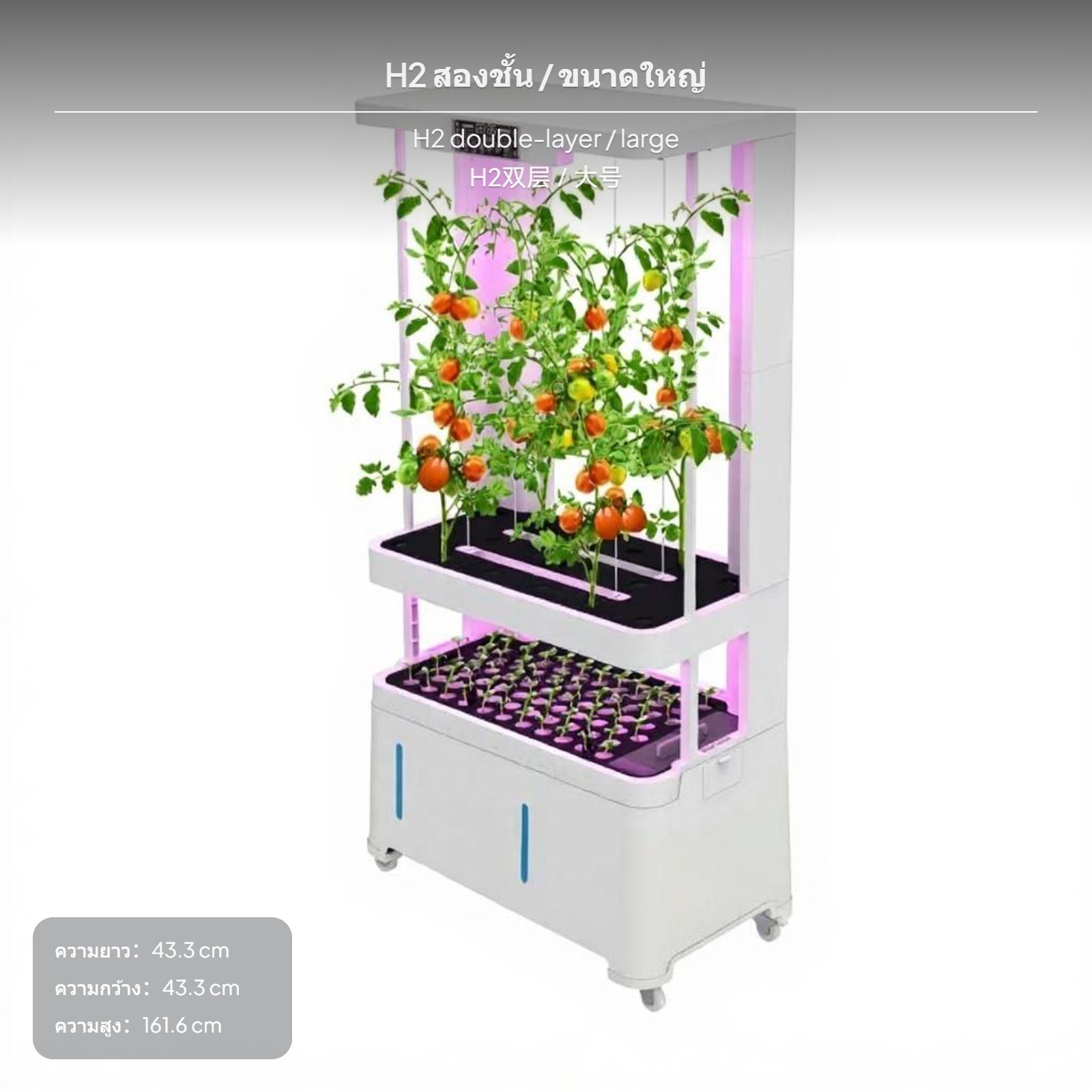 ระบบปลูกพืชไร้ดินอัจฉริยะ 5 ชั้น สำหรับปลูกผักในร่มแนวตั้ง พร้อมไฟ LED สำหรับการเจริญเติบโต ระบบหมุนเวียนน้ำและพ่นหมอก เหมาะสำหรับปลูกต้นกล้า สมุนไพร และดอกไม้ ภายในบ้านชั้นวางต้นไม้โลหะ ชั้นวางต้น ชั้นวางโชว์สินค้าแบบ ราคา 34,304 บาท*ส่งฟรี