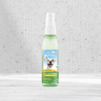 TropiClean Fresh Breath Oral Care Foam & Spray for Dogs | No Brushing Needed | 2 Types