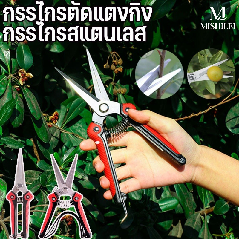 MISHILEI คีมตัดกิ่งไม้ กรรไกรตัดกิ่ง กรรไกรสแตนเลส ปลายแหลม เก็บผลไม้ ปลายแหลม เครื่องมือจัดทำสวน ราคา 60 บาท*ส่งฟรี