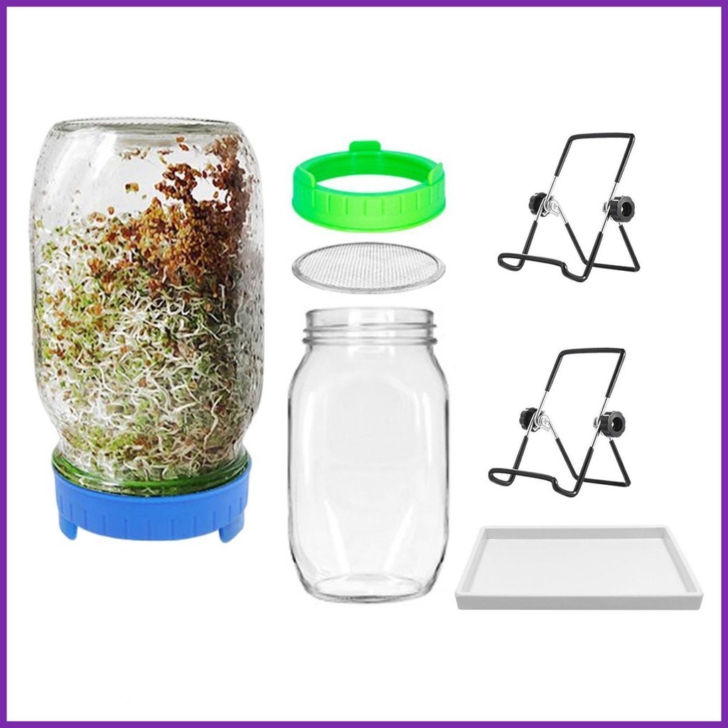 Sprouting Jar Kit Seed Starter Tray Sprouter Mason Jars with Screen Lids Organic Healthy Fresh Wide Mouth Mason ราคา 451 บาท*ส่งฟรี