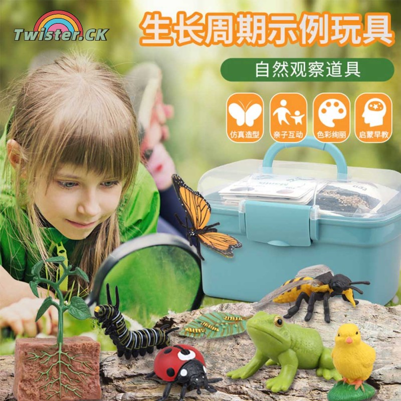 Twister.CK Vòng đời động vật thực vật bức tượng nhỏ học mầm non hoạt động công cụ hỗ trợ giảng dạy Đồ chơi giáo dục bé trai quà tặng bé gái
