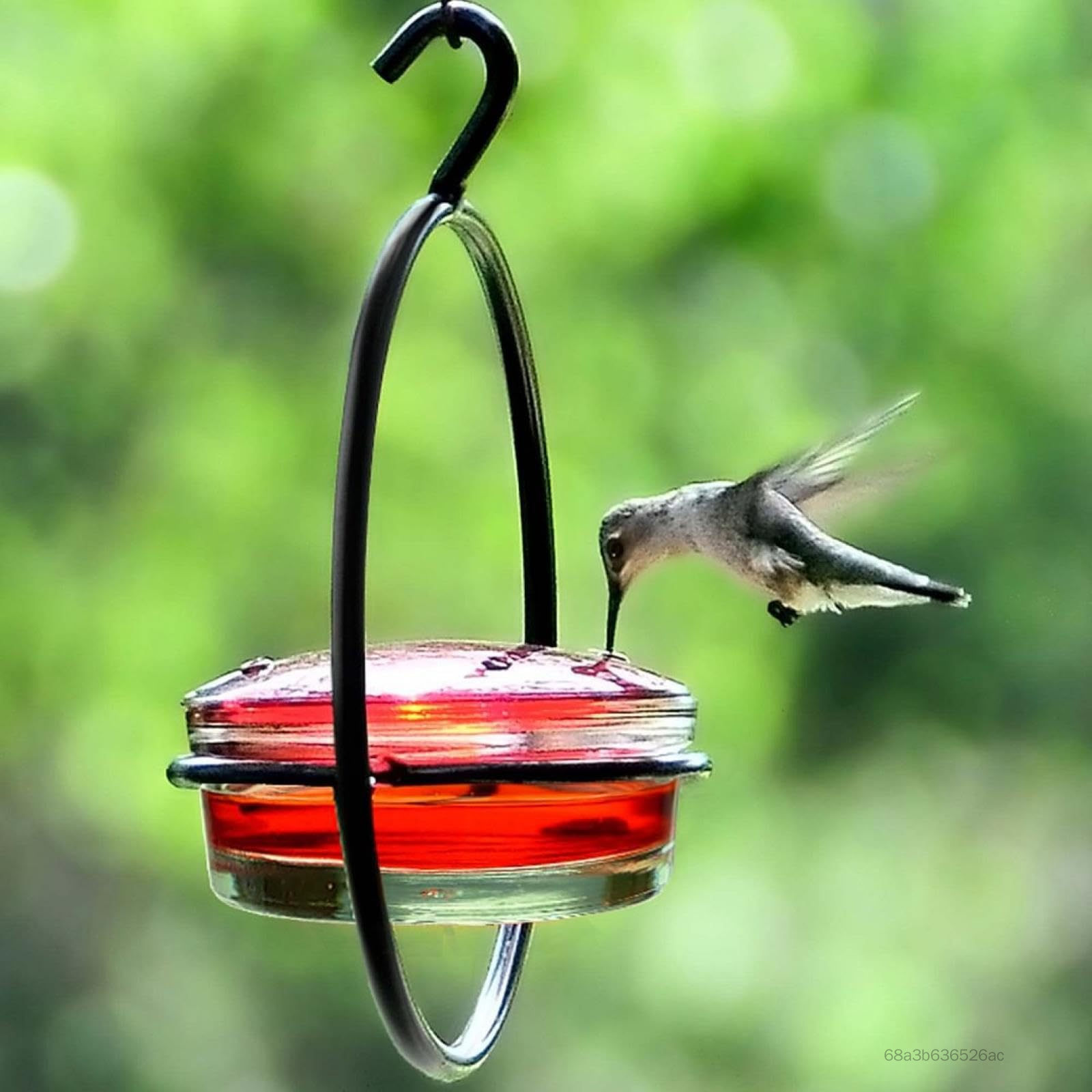 Hummingbird Hummingbird Feeder ANT & BEE POODSERSERSERSERSTER SUMMINGBIRD FEEDERS cho sân sau ngoài trời sân sau 5LA-zlz-VN - 2