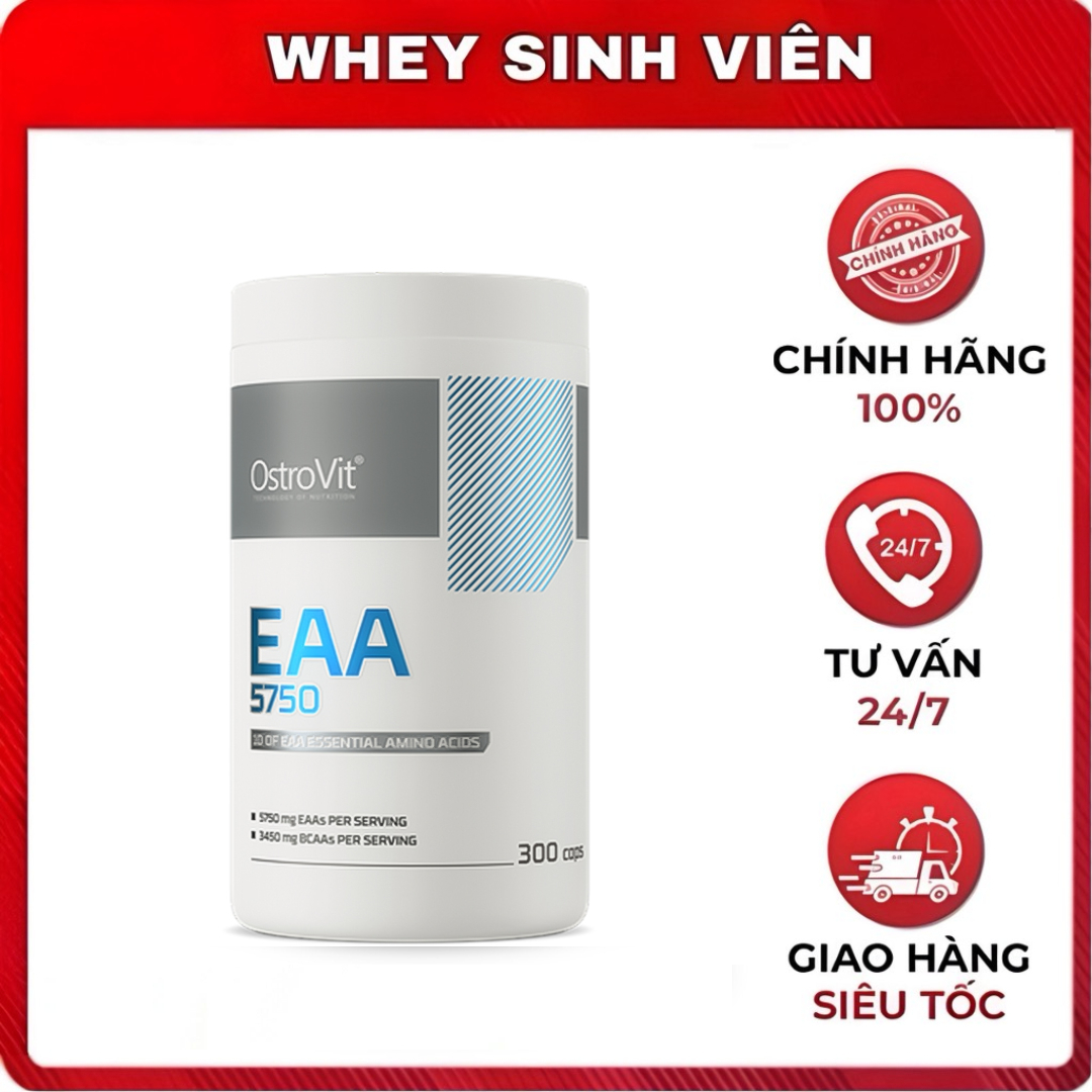  Bột Ostrovit EAA 5750 - BỔ SUNG AMINO THIẾT YẾU HỖ TRỢ PHÁT TRIỂN PHỤC HỒI CƠ BẮP 300 VIÊN TẠI Whey sinh vien 