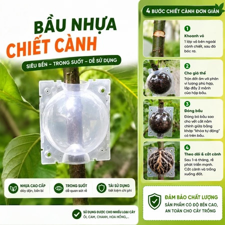 Combo 10 / 20 Bầu Chiết Cây Nhựa PVC/PE Trong – Dụng Cụ Chiết Cành Tái Sử Dụng, Bền Chắc