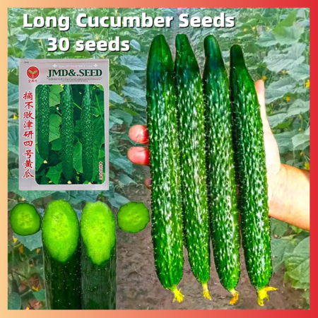 High-Yield F1 Hybrid Cucumber Seeds for Gardening - Seeds