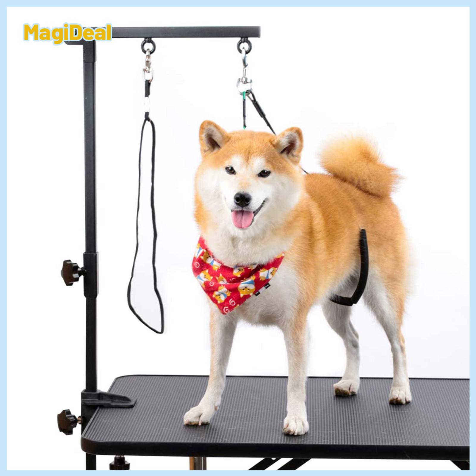 Foldable Pet Grooming Arm With Clamp Stainless Steel Adjustable Loop No Sit Haunch Holder For Medium Small Dogs Puppy ราคา 3,283 บาท*ส่งฟรี