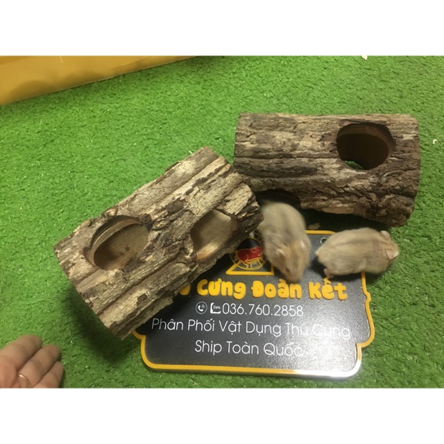Ống chui gốc cây - Đồ chơi trú ẩn cho hamster