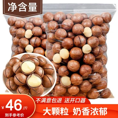 Macadamia nuts FCL 500g butter flavored macadamia nuts dry nut snacks in bulk