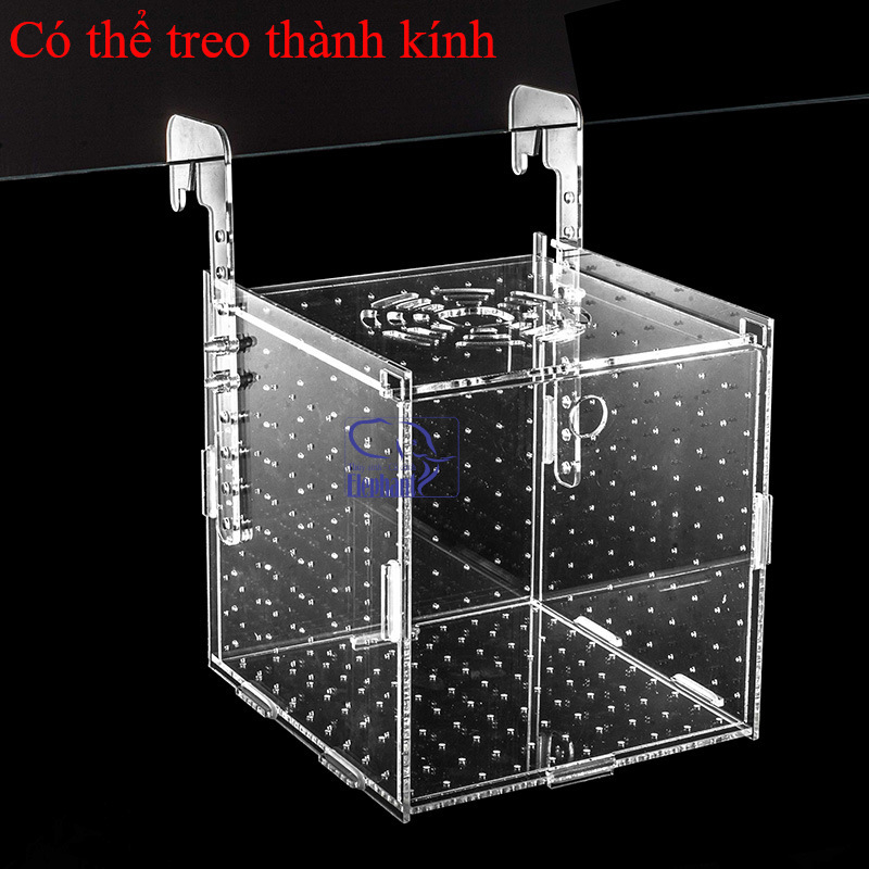 Lồng mica trong suốt chuyên dùng dưỡng cá tép trong hồ cá cảnh thủy sinh