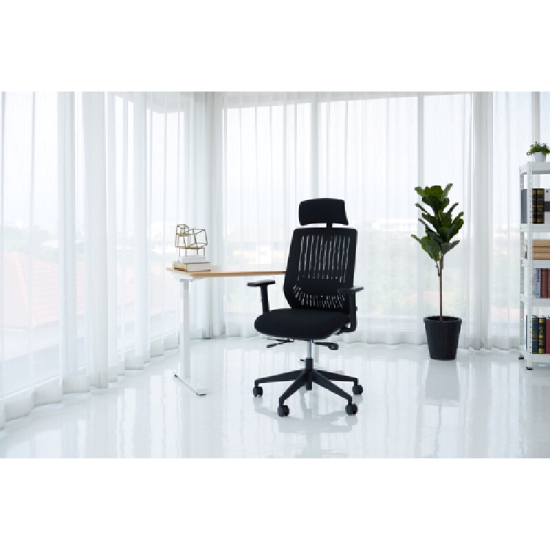 FURRADEC เก้าอี้เพื่อสุขภาพ Ergonomic รุ่น Flex สีดำ ราคา 6,390 บาท*ส่งฟรี