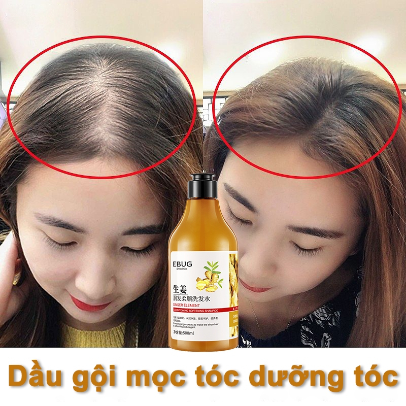 Dầu gội gừng tươi mọc tóc dầu gội chống rụng tóc 500ml giảm rụng tóc Mọc Tóc Nhanh kiểm soát Làm mới và kiểm soát dầu