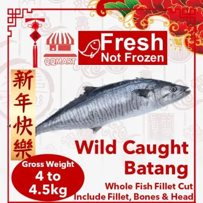 Fresh Wild Caught Whole Spanish Mackerel (Batang) 4 to 4.5kg (Fillet Cut)