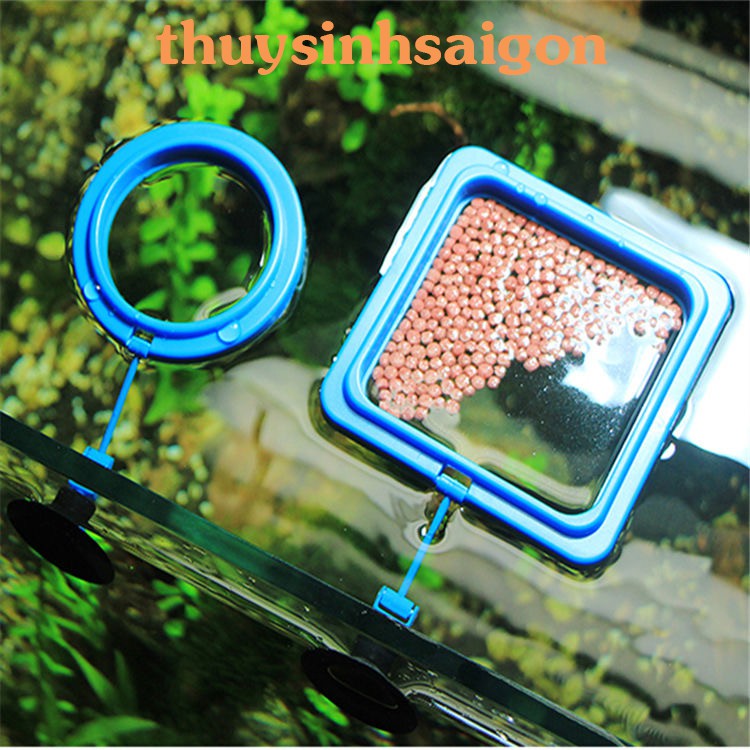 Vòng giữ thức ăn nổi loại tốt , dày dặn cho hồ cá cảnh , bể thủy sinh