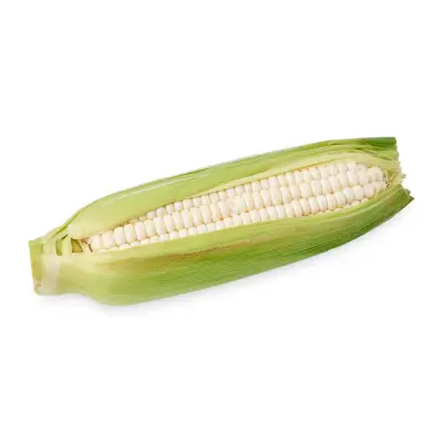 BELLVO Super Sweet White Corn 1s