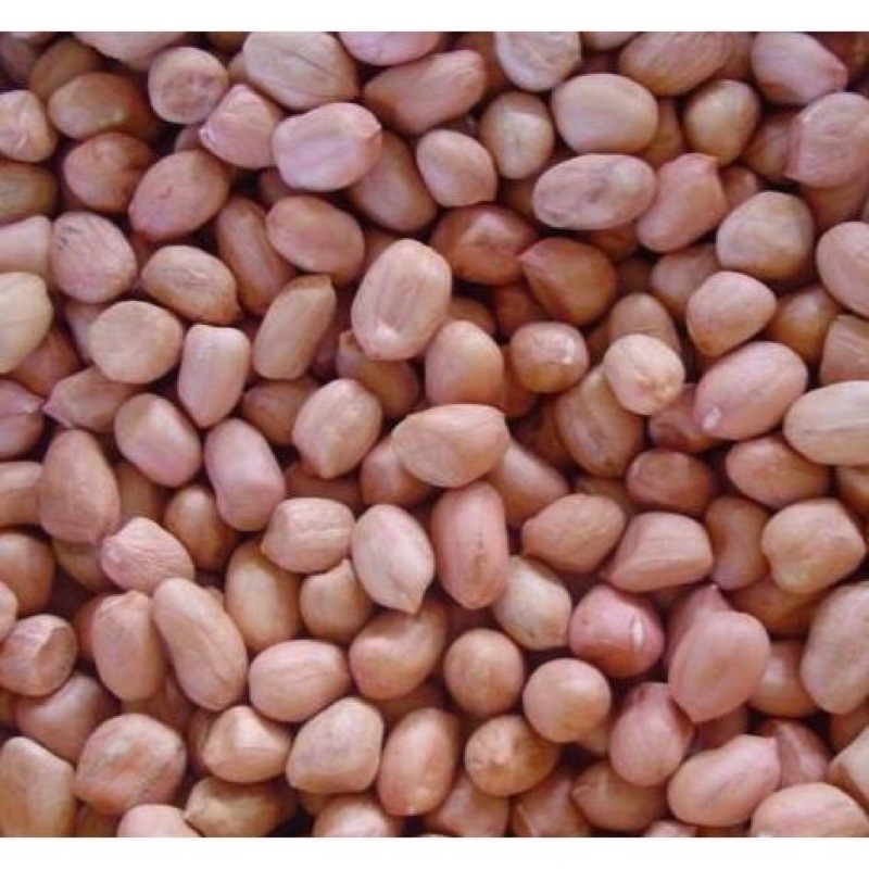 1kg Đậu phộng Huế hạt nhỏ, non ngọt