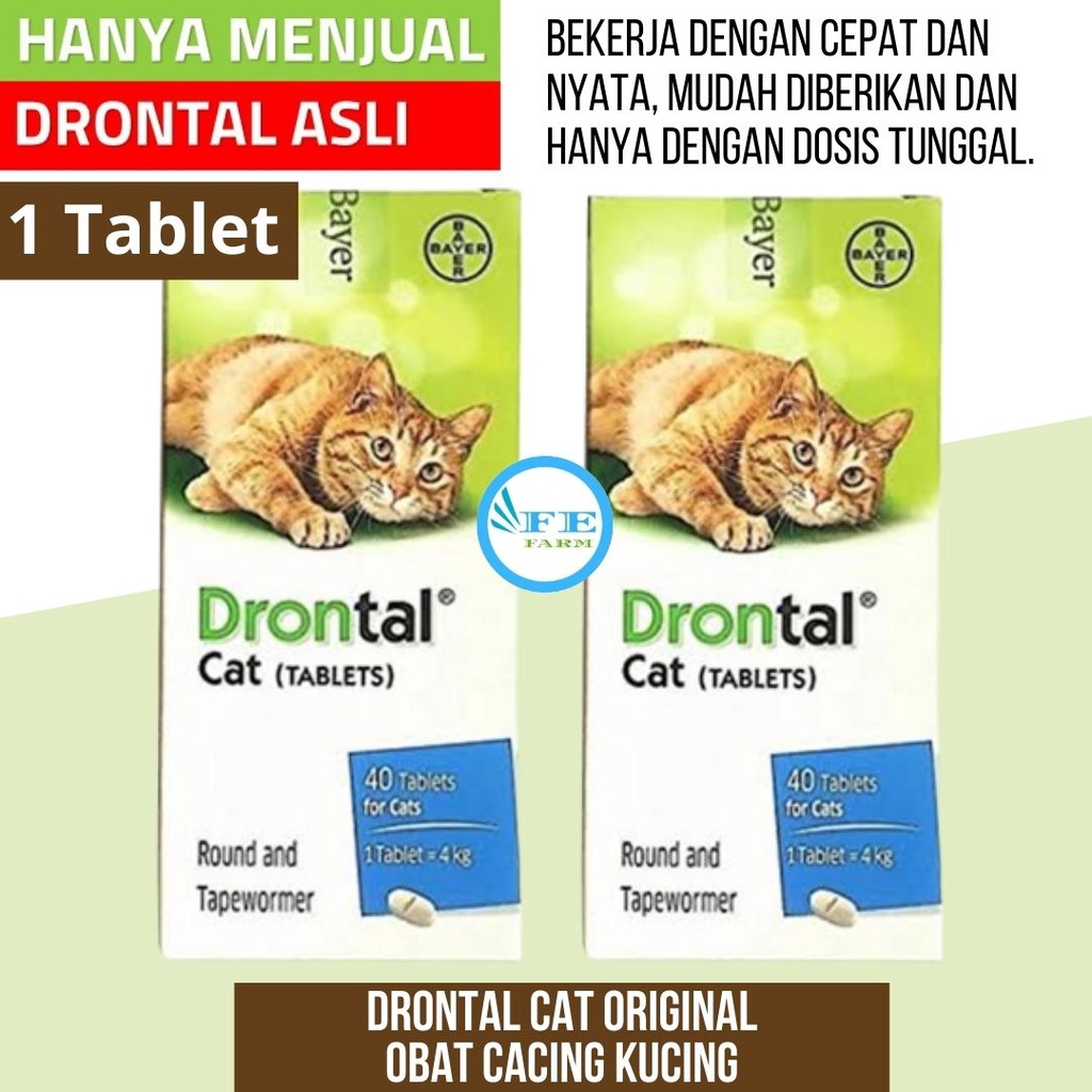 Jual Drontal Obat Cacing Kucing 1 Box Terbaru Lazada Co Id