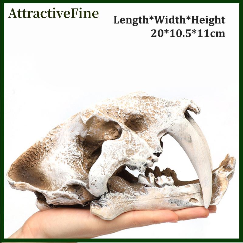 AttractiveFine Mô phỏng nhựa động vật hộp sọ trang trí tự làm bể cá bể cá phụ kiện trang trí sáng tạo hộp sọ cảnh quan bể cá trang trí - 2