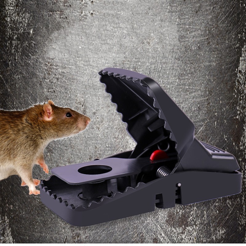 [HCM] bẫy chuột đen thông minh  kèm lò xo đàn hồi với độ nhạy cao-Cozy520