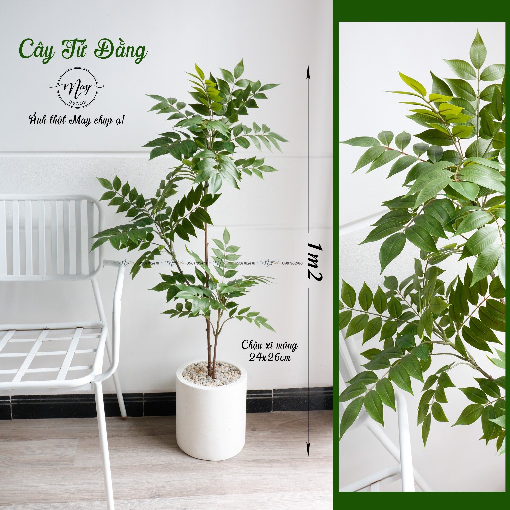 Cây giả, Cây Tử Đằng lá Xanh trang trí nhà cửa