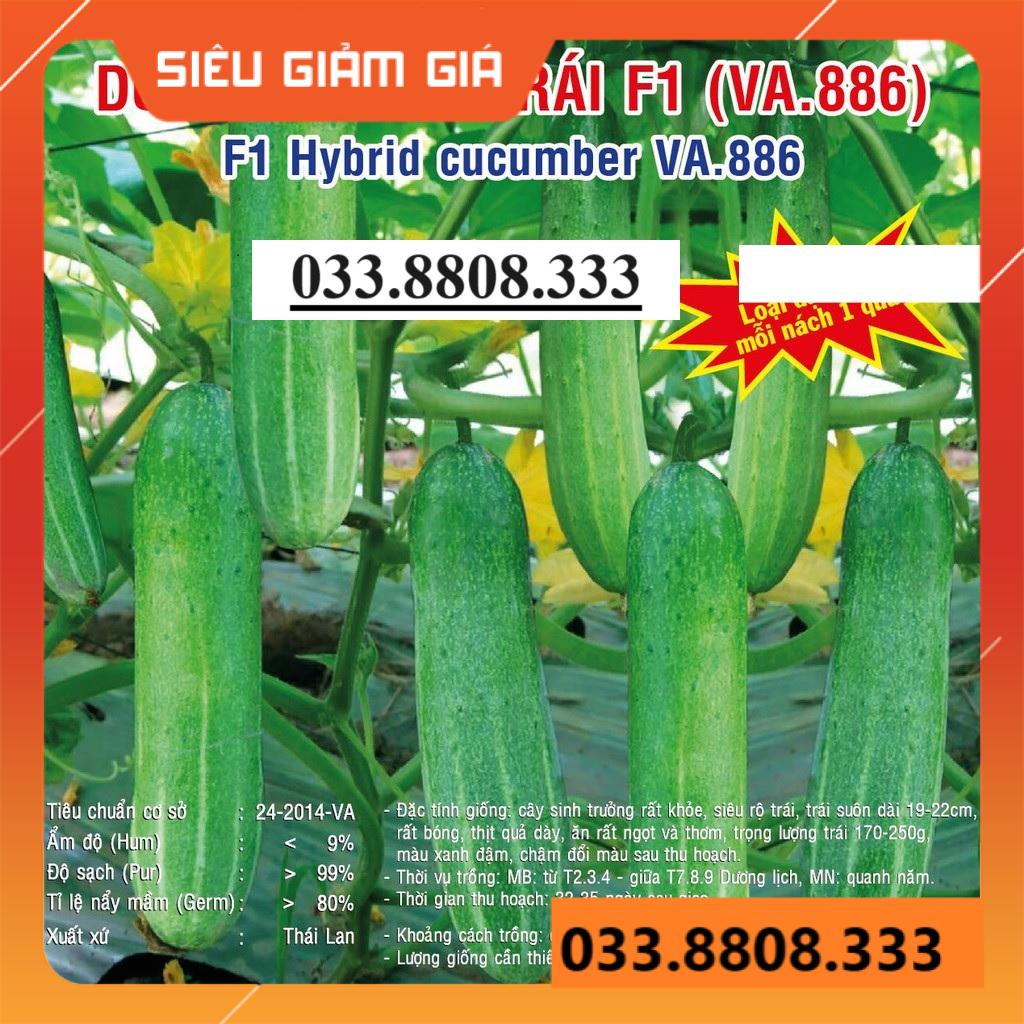 HẠT GIỐNG DƯA LEO VA886 10G- DƯA TRÁI ĐẸP NĂNG SUẤT CAO