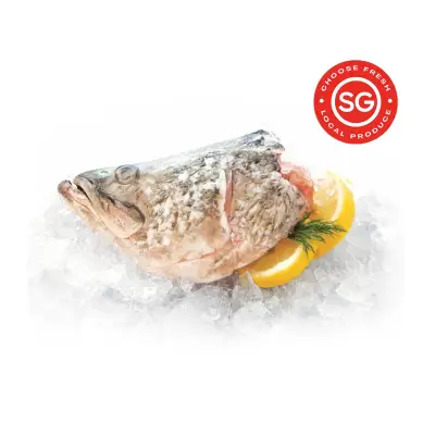 Kuhlbarra Barramundi Fish Head - Fresh Seafood