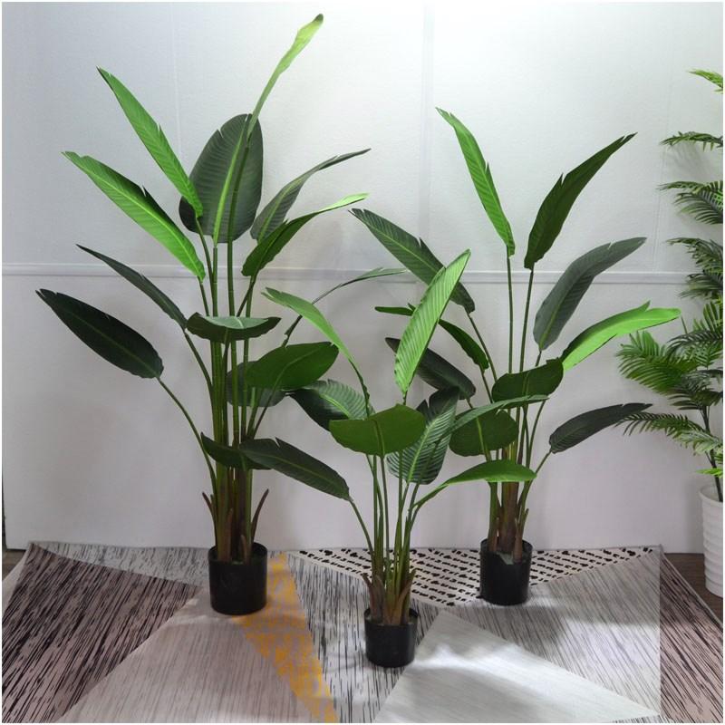 New Products Model Northern Europe 58 Torrid Zone Green Plant Banana BANANA Ravenala Bird of Paradise Monstera Leaf qin ye