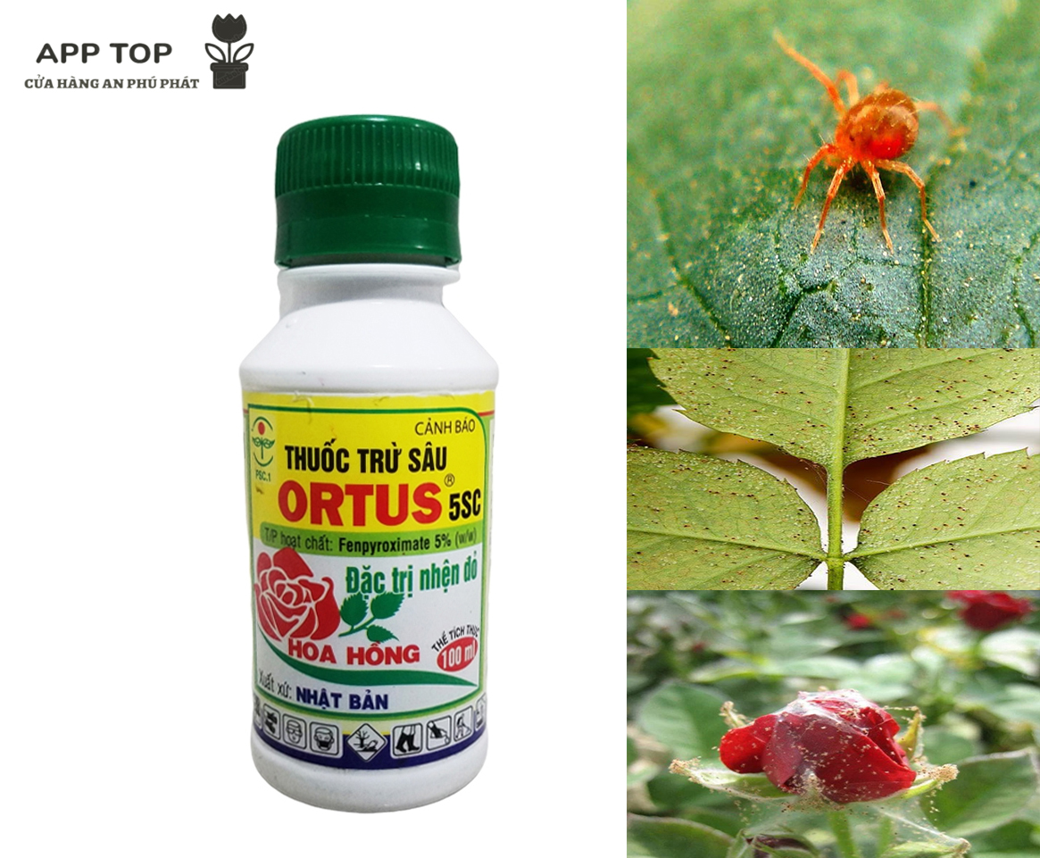 Thuốc trừ nhện đỏ sinh học ortus 5sc - 100 ml - thích hợp cho hoa hồng, mai, kiểng