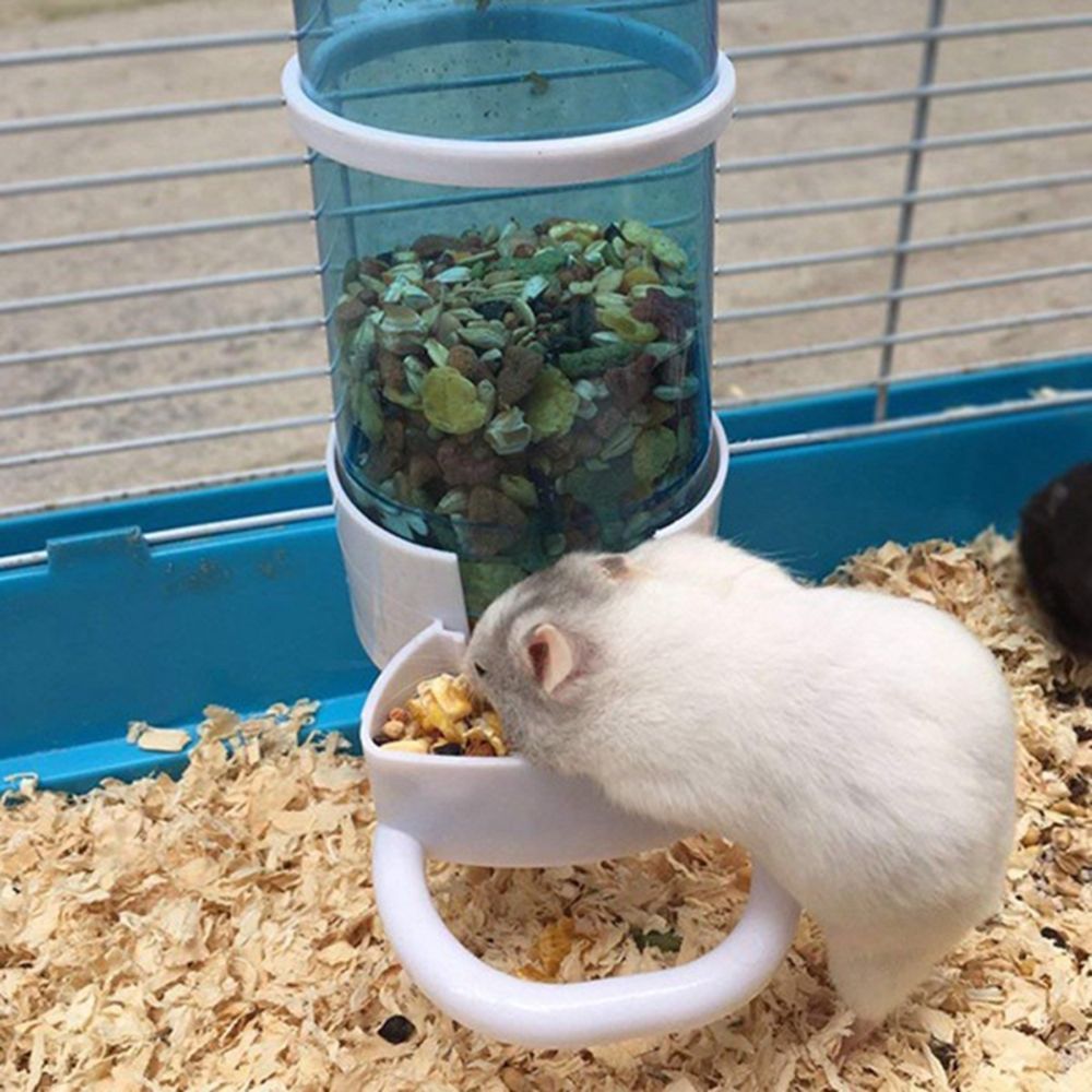 BAIYON cho Chuột lang Guinea Pigs Hamster Mice Thú cưng Con thỏ Bát đĩa
