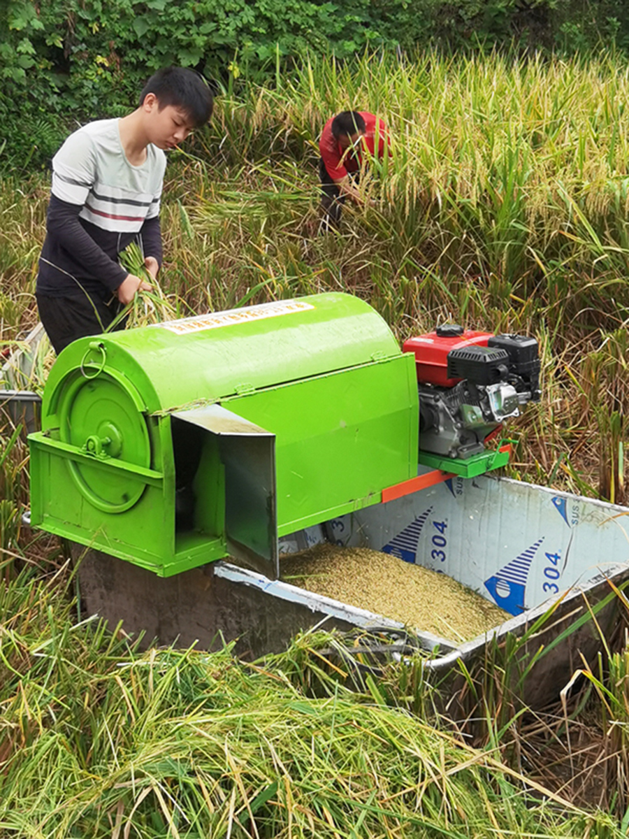 Mini Rice Harvester In The Philippines