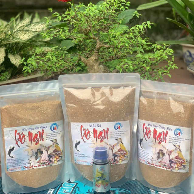 Mồi câu lão ngư cá chép - tổng hợp câu cá siêu nhạy