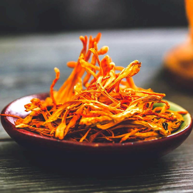 Đông trùng hạ thảo sấy khô 100 gram. khang chính đường .