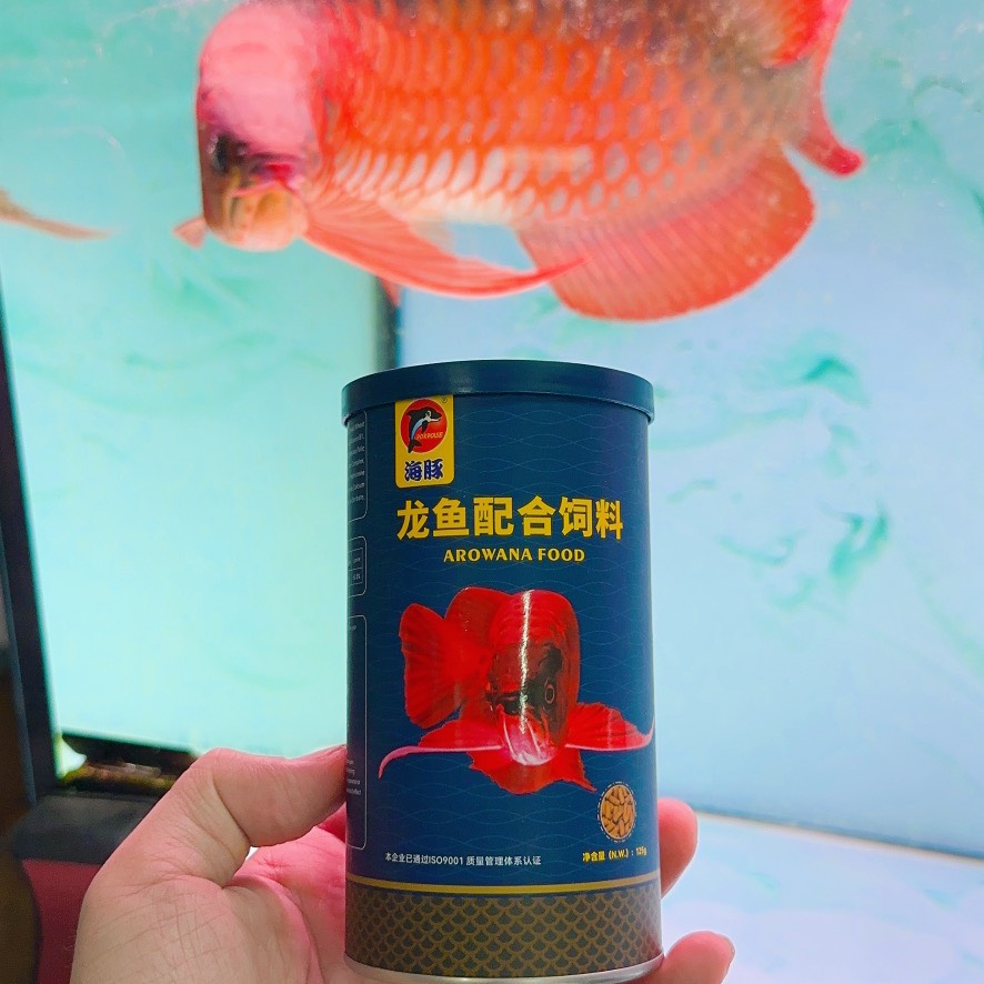 Cám cá rồng huyết long arowana food porpoise - thức ăn cho cá rồng
