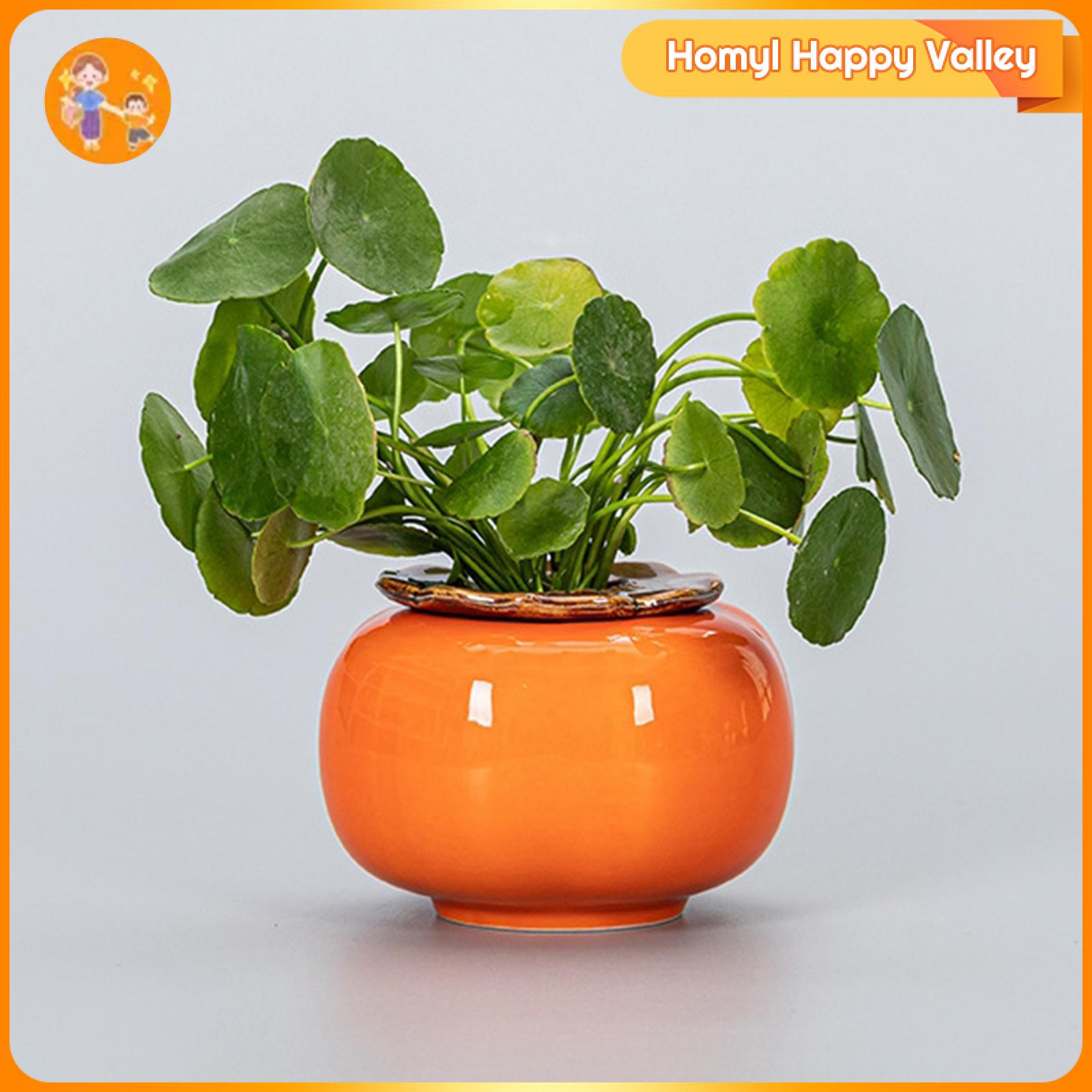 Homyl Ceramic Flower Pot Planter Decoration Organizer Floral Arrangements Minimalist Desktop Hydroponic Pots for Home Party Wedding Giá 190,000 Đồng*Miễn phí vận chuyển