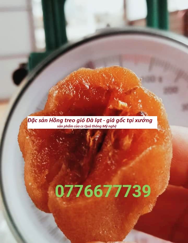 (Túi 500 gram) HỒNG TREO GIÓ ĐÀ LẠT ( giá gốc tại xưởng - bao ngọt - bao đổi trả - sản phẩm của Cs Q