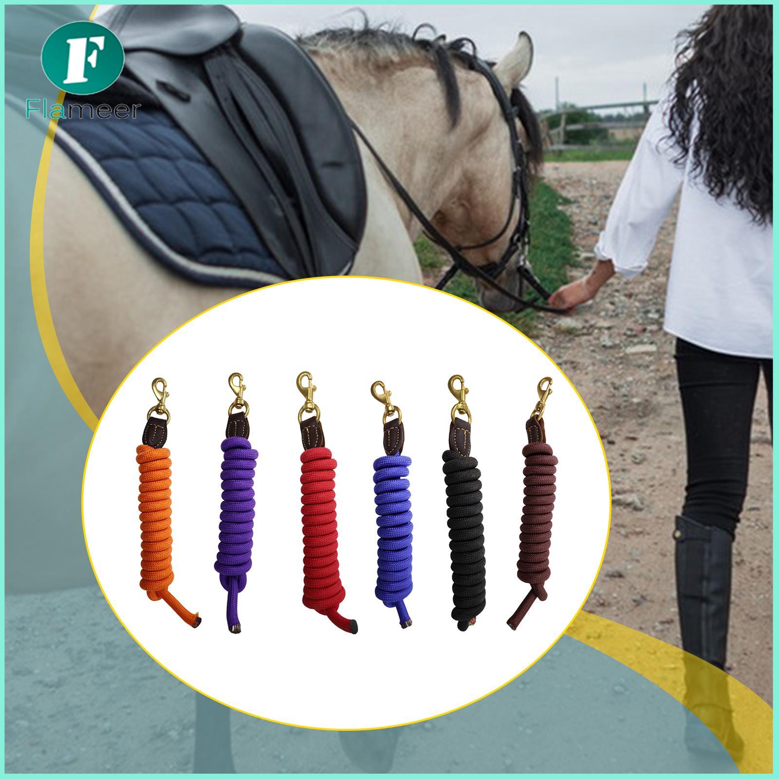 Horse Lead Rope Training Lead with Quickly Snap Nylon Sturdy 250cm Practical Horse Tack for Playing Walking Obedience Recall ราคา 13,596 บาท*ส่งฟรี