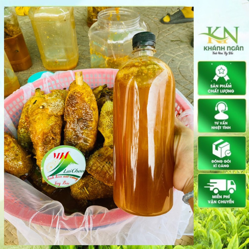 Mật ong ruồi rừng tự nhiên Tây Bắc (500ml, 1 lít) cam kết nguyên chất 100% khai thác rừng Mường Tè, Lai Châu