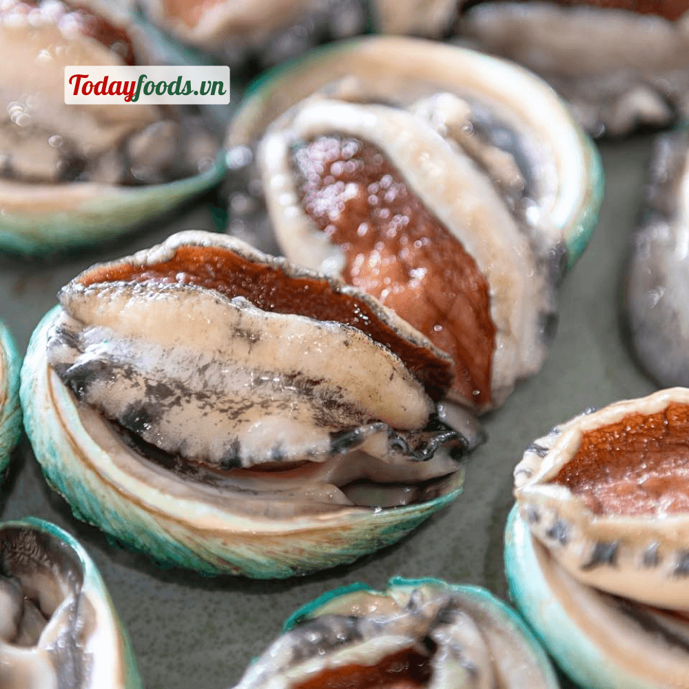 Bào Ngư ÚC Bích Hổ JADE TIGER Abalone (8-10 con / hộp) 500G  Chuẩn ăn Sashimi, nướng, hầm tiềm