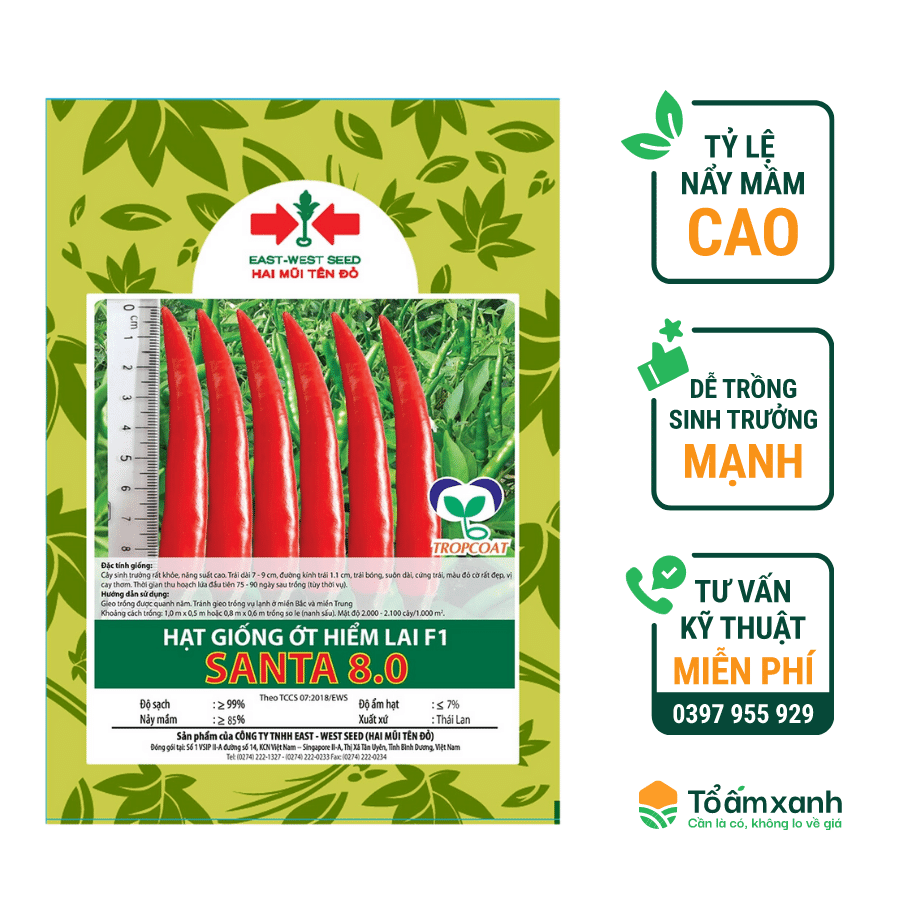 Hạt giống ớt hiểm lai f1 santa 8.0 - hai mũi tên đỏ