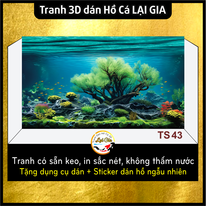 Tranh Dán Hồ Cá 3D, Decal có sẵn keo, Tranh Dán Bể Cá Thủy Sinh, Bể Cá Rồng_Lại Gia