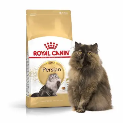 Royal Canin adult Persian 4kg